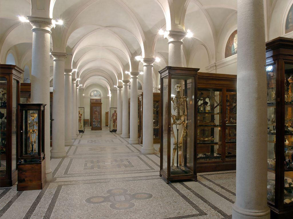Progetto Vicini 2022- Visita al museo di Anatomia Umana, museo Lombroso e museo della Frutta